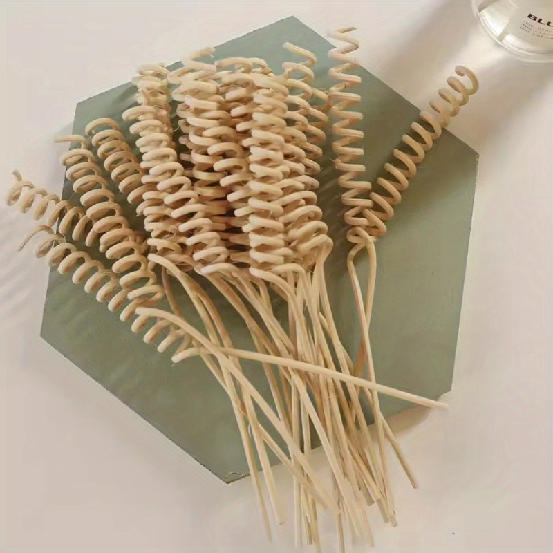 Reed Diffuser Set - 10 pçs planta curvada rattan varas